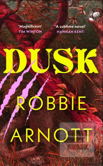 Dusk (Robbie Arnott)