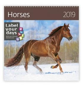 Kalendár nástenný: Horses