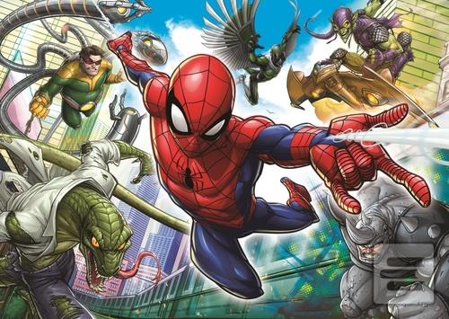 Spiderman: Zrozen k hrdi…