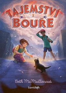 Kniha: Tajemství z bouře - 1. vydanie - Beth McMullenová