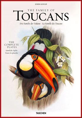 Kniha: Family of Toucans - Jonathan Elphick