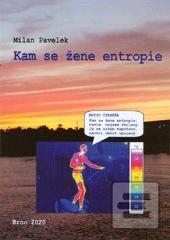 Kam se žene entropie (Milan Pavelek)