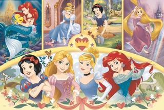 Puzzle: Puzzle Disney princezny MAXI 24 dílků