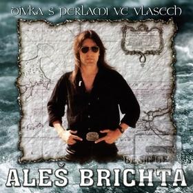 Dívka s perlami ve vlase… (Aleš Brichta)