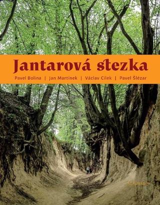 Kniha: Jantarová stezka - 1. vydanie - Pavel Bolina; Václav Cílek; Jan Martínek