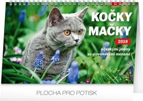 Kalendár stolný: Stolní kalendář Kočky – Mačky CZ/SK 2019