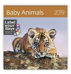 Kalendár nástenný: Baby Animals