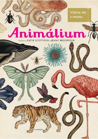 Kniha: Animalium - Vítáme vás v muzeu - 1. vydanie - autorů kolektiv