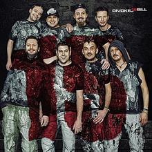 Kniha: Divokej Bill:  15 - LP - Divokej Bill