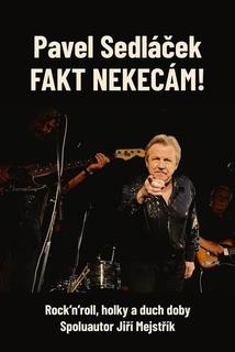 Kniha: Fakt nekecám! - Rock'n'roll, holky a duch doby - Pavel Sedláček; Jiří Mejstřík