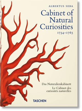 Kniha: Seba. Cabinet of Natural Curiosities. 40th Ed. - Rainer Willmann,Jes Rust,Irmgard Müsch