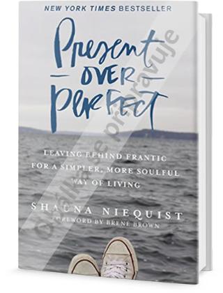 Kniha: Nežijte dokonalostí, žijte přítomností - 1. vydanie - Shauna Nieguist