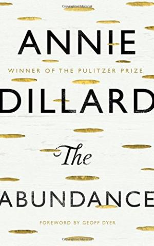 Kniha: Abundance - Geoff Dyer