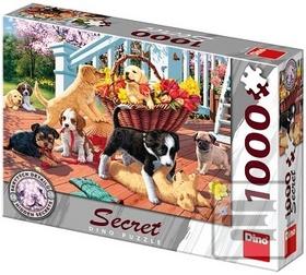 Puzzle Secret Collection…