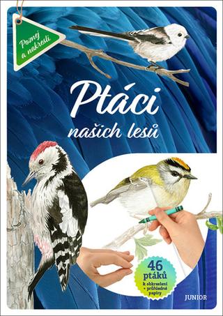 Kniha: Ptáci našich lesů - 1. vydanie