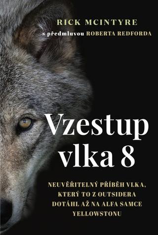 Kniha: Vzestup vlka 8 - Neuvěřitelný příběh vlka, který to z outsidera dotáhl až na alfa samce Yellowsto - 1. vydanie - Rick McIntyre