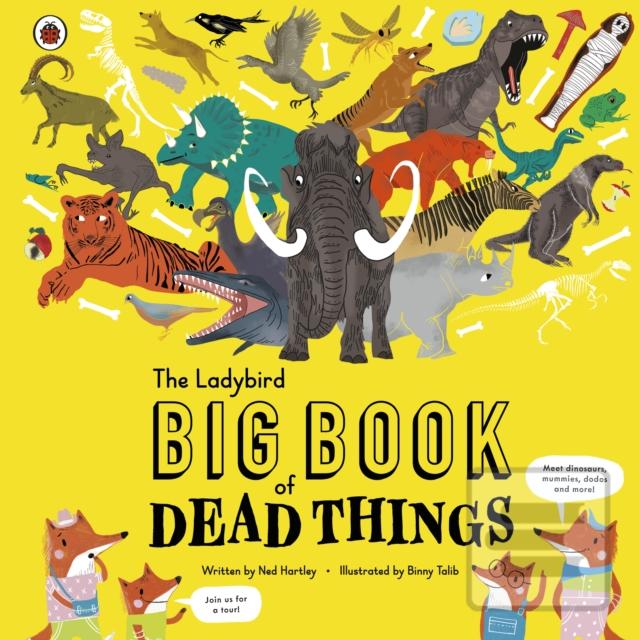 The Ladybird Big Book of…