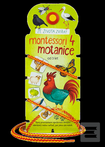 Montessori motanice 4 Ze…