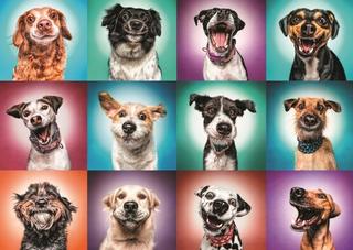 Puzzle: Puzzle Legrační portréty psů II, 2000 dílků