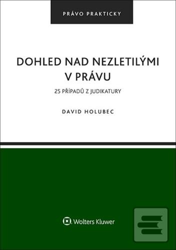 Dohled nad nezletilými v… (David Holubec)