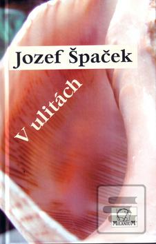 Kniha: V ulitách - Jozef Špaček