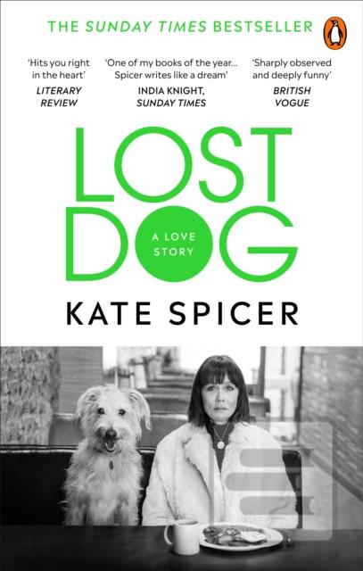 Lost Dog