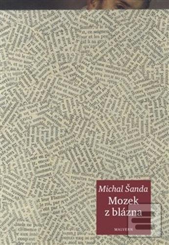 Kniha: Mozek z blázna - Michal Šanda