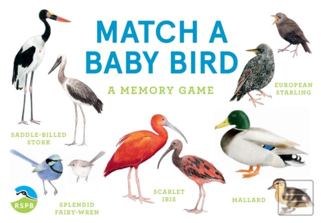 Kniha: Match a Baby Bird - Mike Unwin
