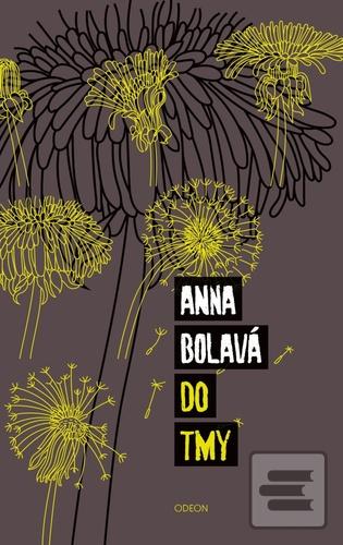 Kniha: Do tmy - 2. vydanie - Anna Bolavá