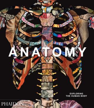 Kniha: Anatomy