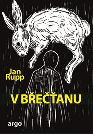 Kniha: V břečťanu - Jan Rupp