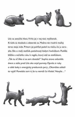 Ukážka z knihy Štyria kamaráti v akcii: Trinásť modrých mačiek  -  Autorsky chránený materiál © Albatros Media