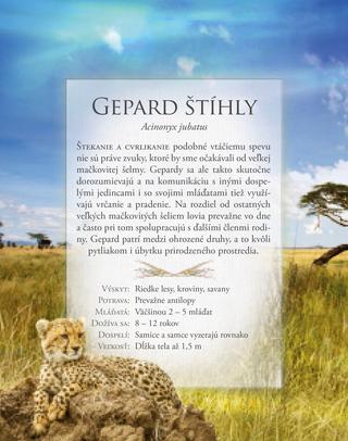 Ukážka z knihy Zvieratá zo safari  -  Autorsky chránený materiál © Albatros Media