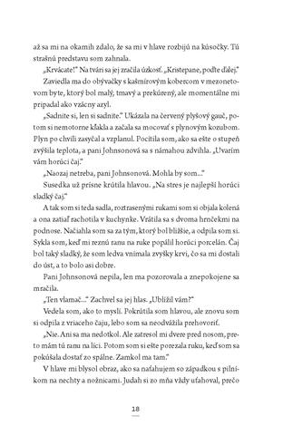 Ukážka z knihy Žena v kajute 10  -  Autorsky chránený materiál © Albatros Media