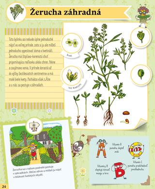 Ukážka z knihy Herbár pre deti  -  Autorsky chránený materiál © Albatros Media