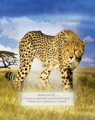 Ukážka z knihy Zvieratá zo safari  -  Autorsky chránený materiál © Albatros Media