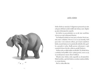 Ukážka z knihy Jediný Ivan svojho druhu  -  Autorsky chránený materiál © Albatros Media