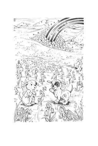 Ukážka z knihy Zvieratká z Kúzelného lesa - Šteniatko Sisi  -  Autorsky chránený materiál © Albatros Media