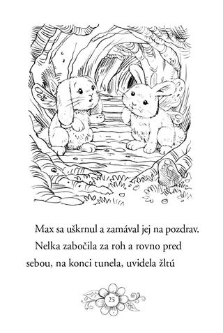 Ukážka z knihy Zvieratká z Kúzelného lesa Králiček Nelka  -  Autorsky chránený materiál © Albatros Media