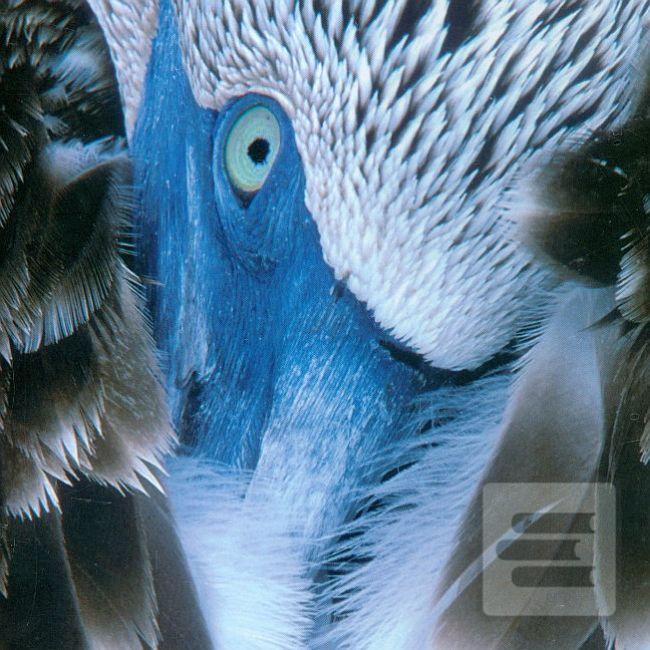 Séria kníh: Unikátny obrazový sprievodca