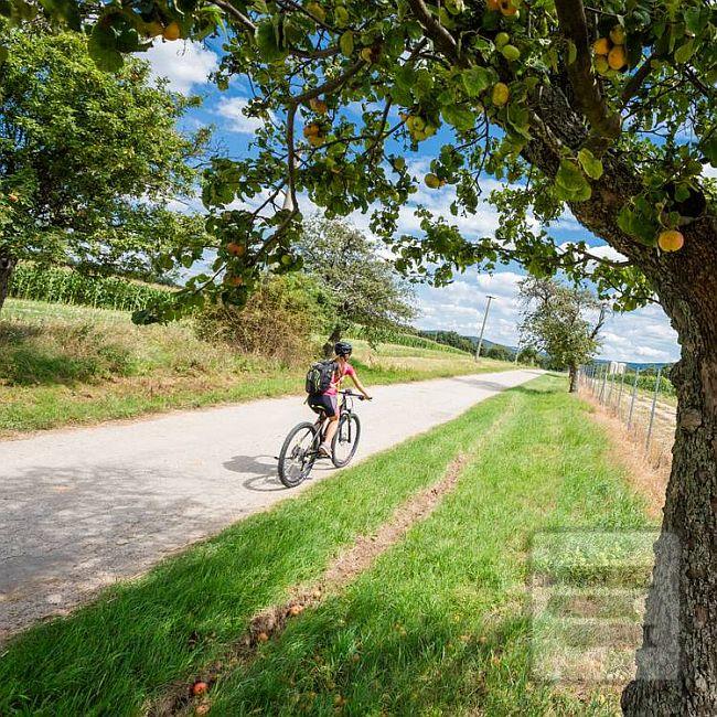 Séria kníh: Okolo Slovenska na bicykli