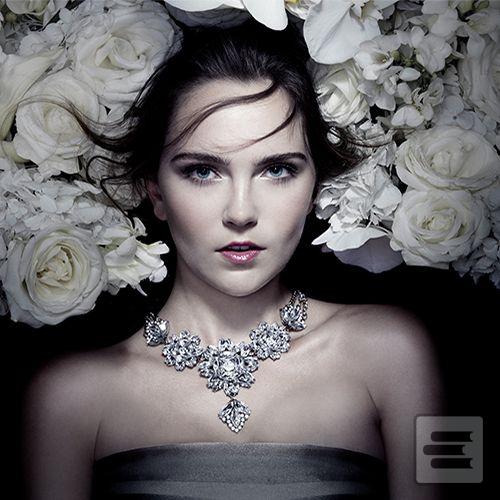 Séria kníh: Diamantový dvor