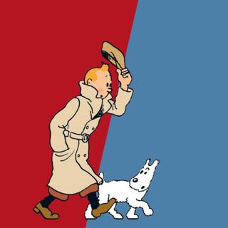 Séria kníh: Tintinova dobrodružství