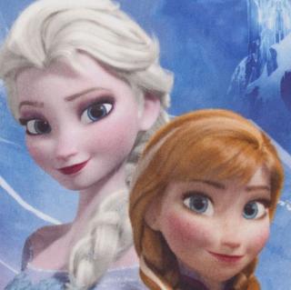 Séria kníh: Anna a Elsa
