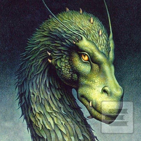 Séria kníh: Odkaz Dračích jazdcov