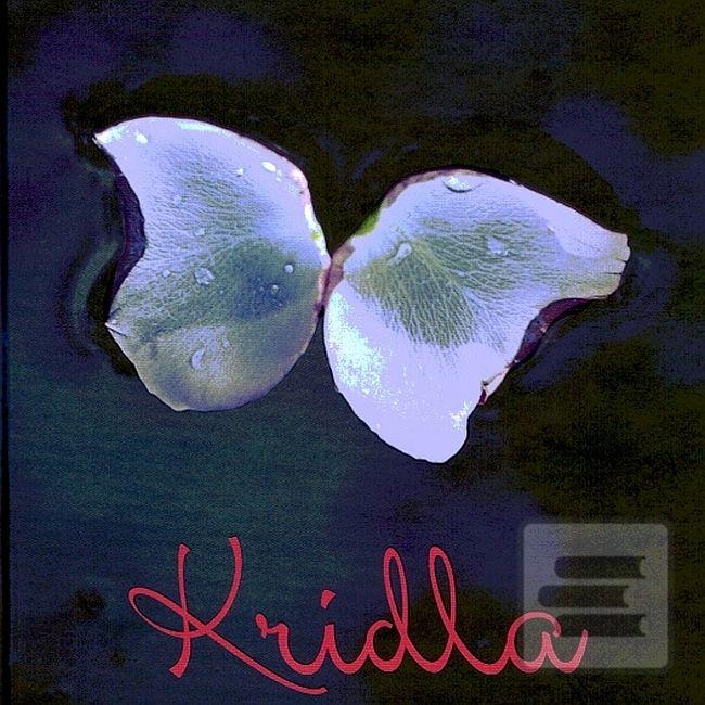 Séria kníh: Krídla