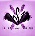 Séria kníh: Čierna labuť vzlieta