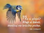 Ostatné: Magnet na lednici Medituj na Štěstí - Sri Chinmoy