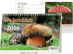 Kalendár stolný: Na houbách 2016 - stolní kalendář
