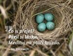 Ostatné: Magnet na lednici Medituj na Láska - Sri Chinmoy